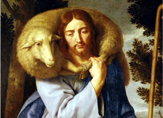 025107 uufO Champaigne shepherd 54