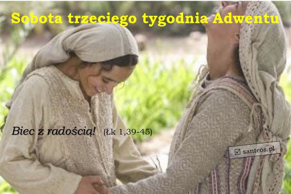 santeos1