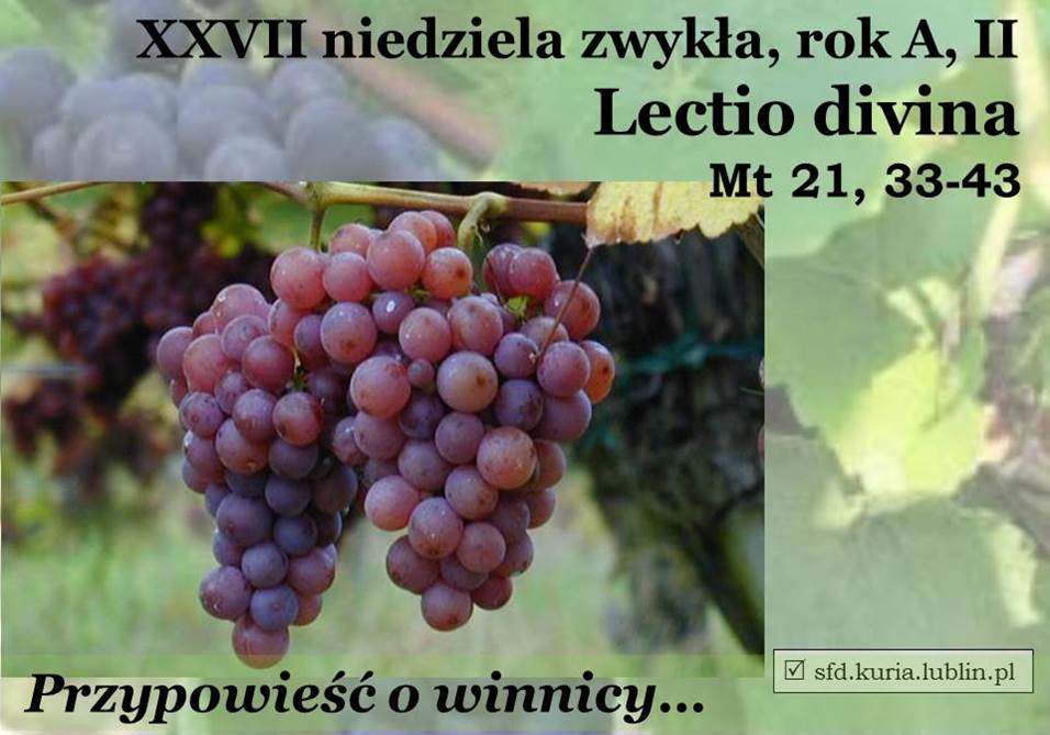 sfd.kuria.lublin69
